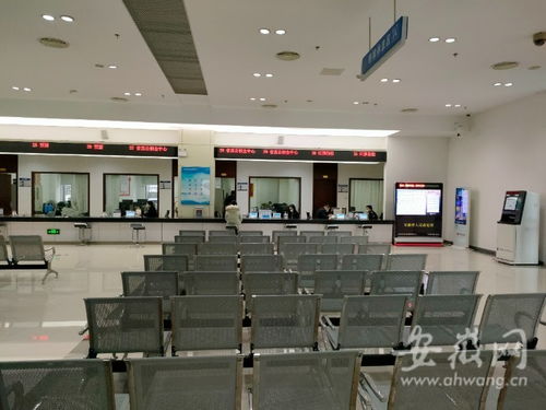虎年開工首日探訪 安徽省政務服務中心窗口人員堅守崗位，熱情服務暖人心